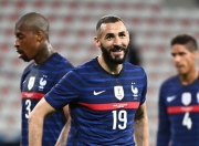 -法国羽毛球队轻取日本羽毛球队，陶菲克制霸全场的简单介绍