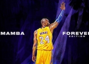 九游娱乐网页-2026世界杯焦点战，马刺狂胜掘金，战术革新引领篮球未来