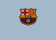 九游娱乐app下载-独行者的胜利，当威廉姆斯完胜哈斯，塞恩斯扛起整个车队的灵魂